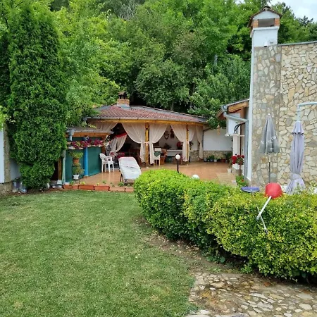 فيلة Vladi *
